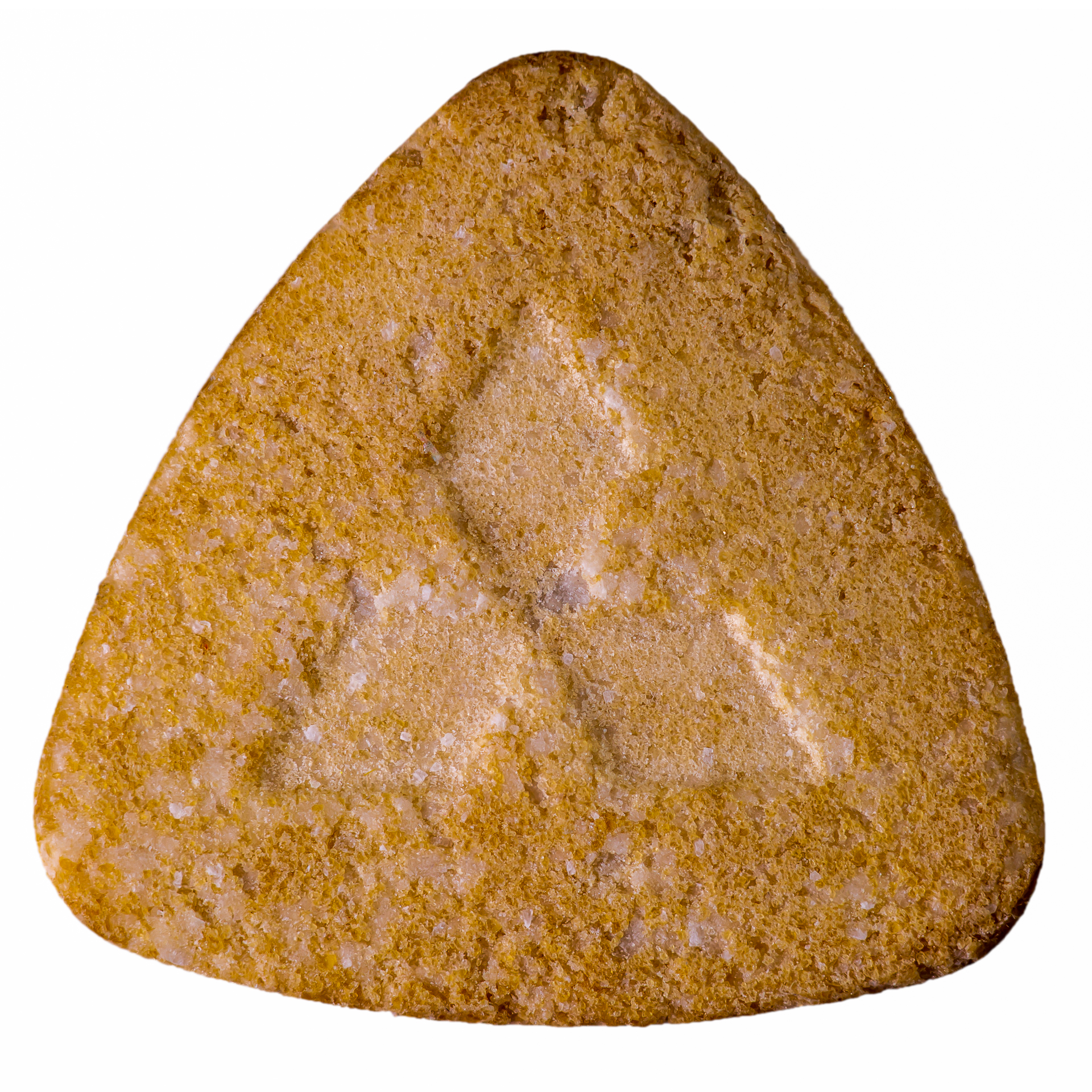 Vintage Disco Biscuit-101