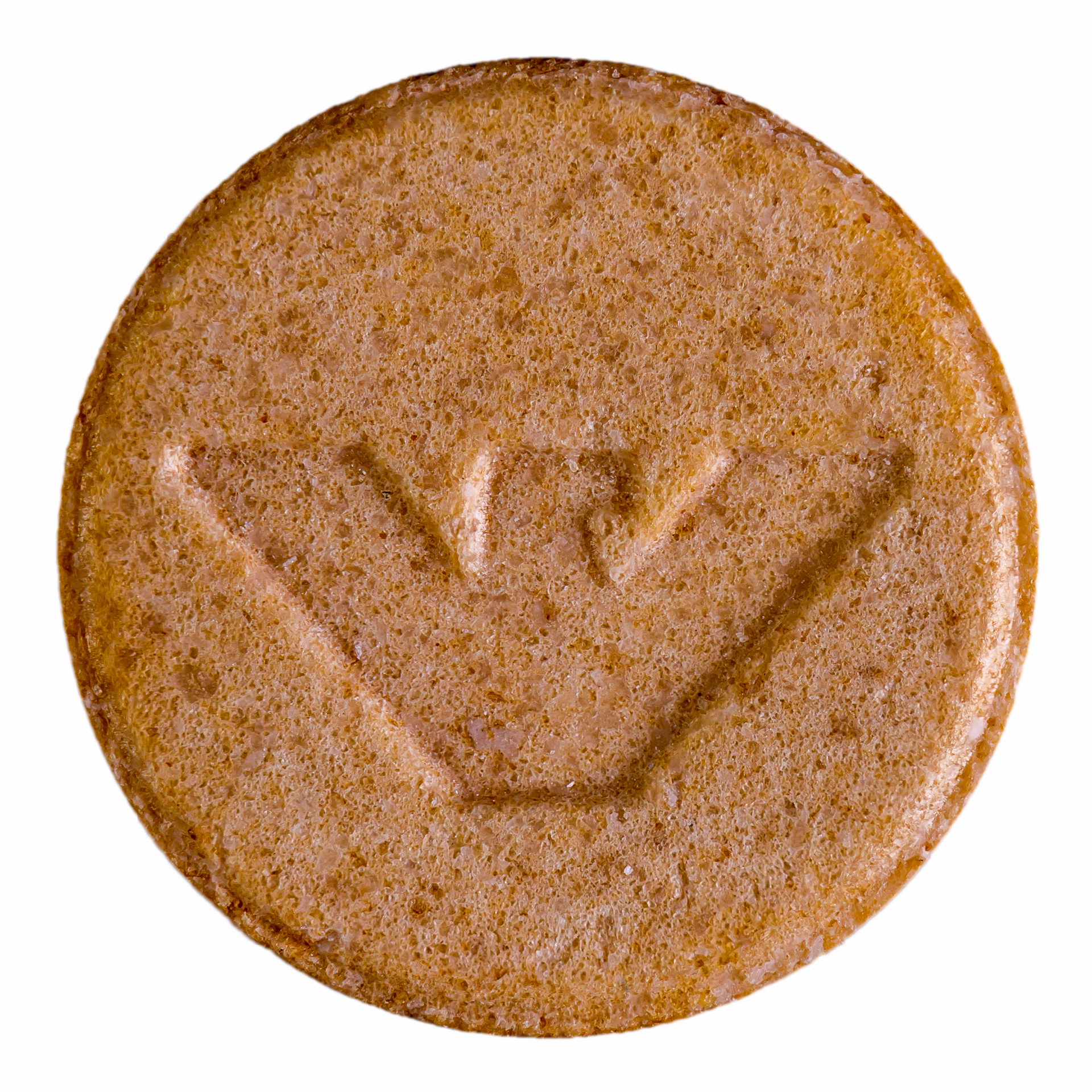 Vintage Disco Biscuit-20